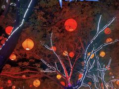 -胡桃里音乐酒馆(曲江店)