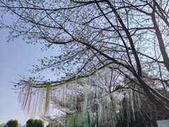 -堤角公园