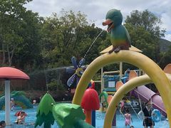 -苏州乐园森林水世界