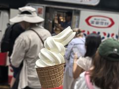 -富豪雪糕车流动点(尖沙咀)