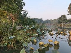-云居湖