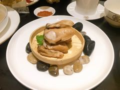 -甄御•海鲜新青岛菜(麦岛店)