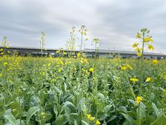 -光明小镇欢乐田园