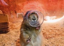 -酷嗒动物文化乐园(cutezoo西溪乐天城店)