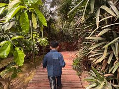 -呀路古热带植物园