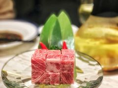 -汤城·料青山