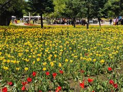 -长春公园(普阳街道)