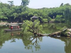 -水绘园