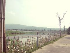 iphone_upload_pic-横琴公社餐厅