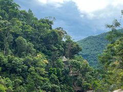 -海南热带雨林国家公园吊罗山景区
