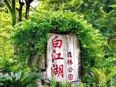 -广州白江湖森林公园