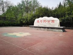 -莲花池公园