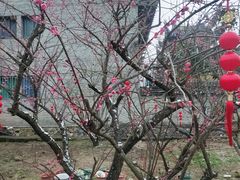 -雪峰寺