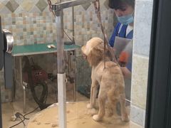 -骐奇宠物诊疗中心(南亭公路店)