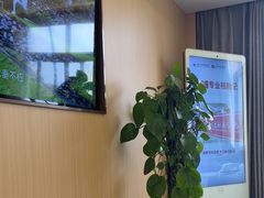 -上海皮肤专科医院