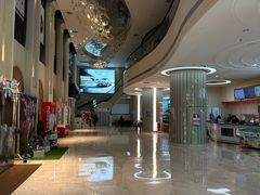 -纵横国际影城杜比全景声巨幕(天安云谷店)