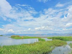 -洱海月湿地公园