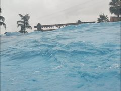 -重庆海昌加勒比海水世界