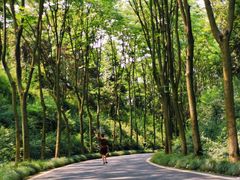 -宜兴龙背山森林公园