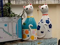 -猫咪博物馆(顶澳仔猫街店)