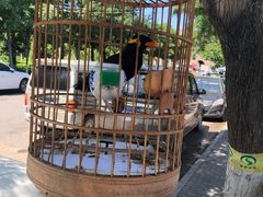 -宛平李记小吃(东关街店)