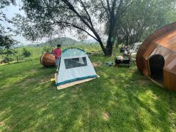 -浅山蜜塘奇妙乐园·亲子营地