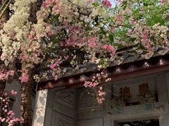 -深圳国际园林花卉博览园