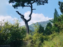 -妙峰山风景名胜区