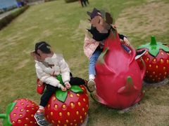 -普迪生态园