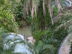 -汇雅温泉
