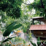 版纳周末遛娃约会的好去处 无意间发现的清迈风小院