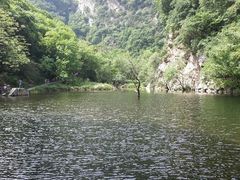 android_upload_pic-少华山国家森林公园