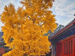 -承恩寺