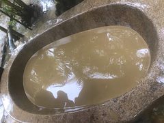-100蛋泥浆浴