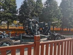 -羊亭河湿地公园