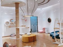 -1013 PET SHOP精品宠物商店(丁香店)