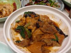 -小吊梨汤·北京菜·烤鸭(鸟巢店)