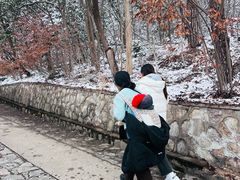 -紫金山山顶公园