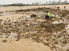 -日照海滨国家森林公园