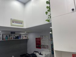 -青霖·飘逸造型