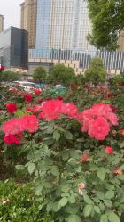 -壹加壹医疗美容·轻医美·美容外科