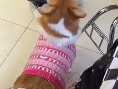 -怪兽屋·羊驼·猫咖·狗咖(俊华广场店)