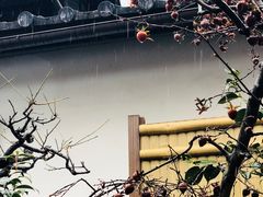 -中村藤吉(本店)