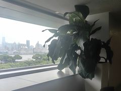-震旦博物馆·A Cafe