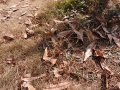 -南京金牛湖风景区