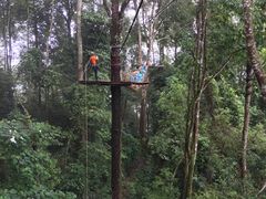 -清迈丛林飞跃 JungleFlight