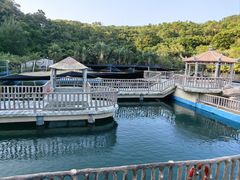 -广东惠东海龟国家级自然保护区