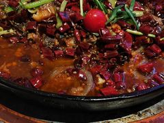 -老板恋上鱼(恒隆广场店)