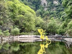 -少华山国家森林公园