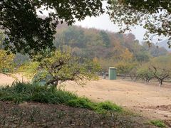 -白马涧龙池景区